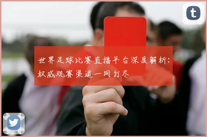 世界足球比赛直播平台深度解析：权威观赛渠道一网打尽