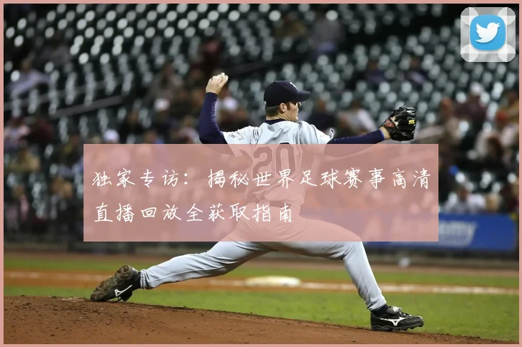 独家专访：揭秘世界足球赛事高清直播回放全获取指南